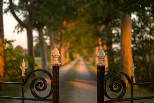 Electric Gates 1